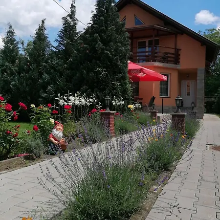 Pensiunea Cold Mountains 3*